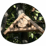 visuel maison à abeilles